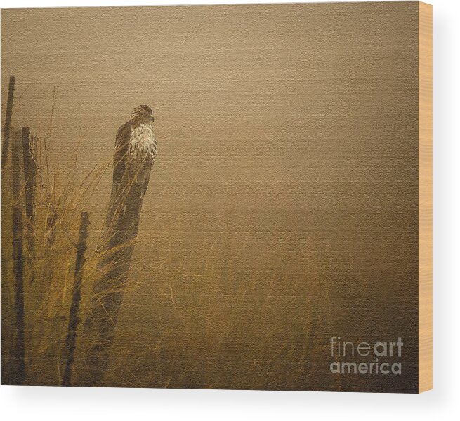 Nature Wood Print featuring the photograph Waiting by Steven Reed
