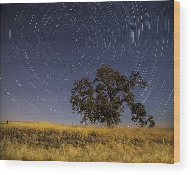 Sacramento Wood Print featuring the photograph Watching Polaris by Lee Harland