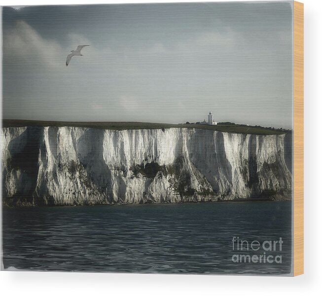 Nag004102 Wood Print featuring the photograph White Cliffs of Dover by Edmund Nagele FRPS