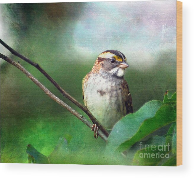White-throated Sparrow Wood Print featuring the photograph White-throated Sparrow by Kerri Farley