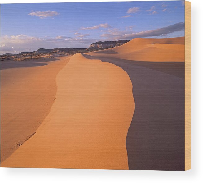 00175735 Wood Print featuring the photograph Wind Ripples In Sand Dunes by Tim Fitzharris