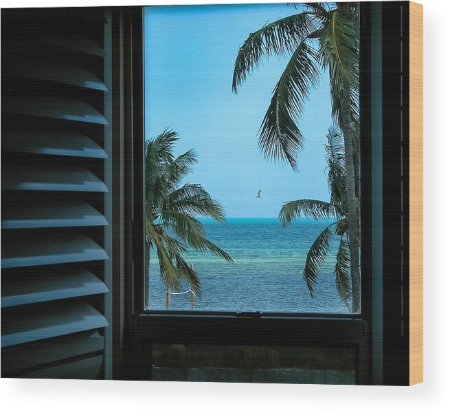 2007 Wood Print featuring the photograph Window To Smathers Beach by Frank Mari