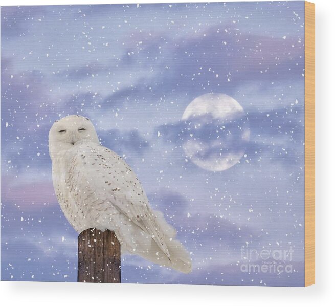 Snowy Owls Wood Print featuring the photograph Winter solstice by Heather King
