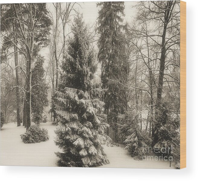 Bavaria Wood Print featuring the photograph Winter Zauber 02 by Edmund Nagele FRPS