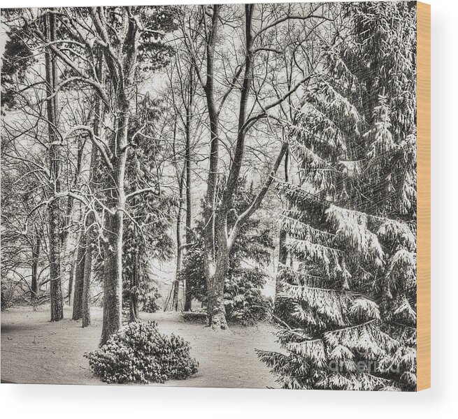 Bavaria Wood Print featuring the photograph Winter Zauber 03 by Edmund Nagele FRPS
