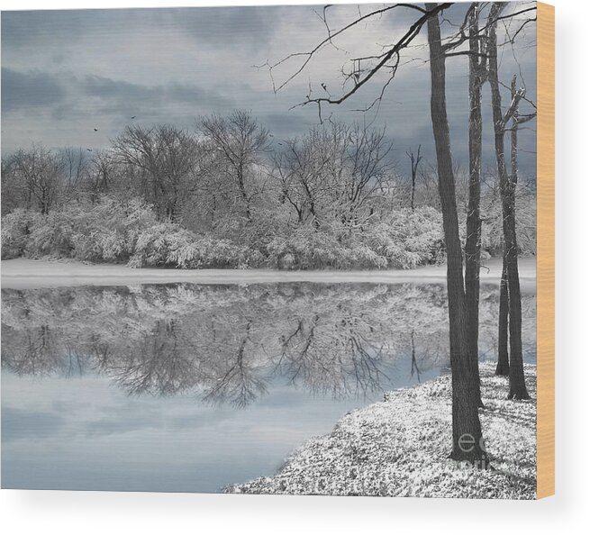 Winter Landscape Wood Print featuring the photograph Winters Delight 6 by Cedric Hampton