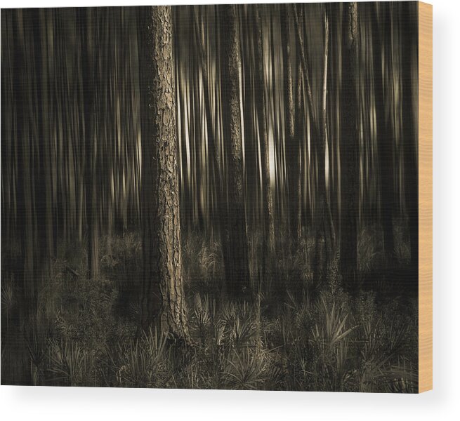 Sepia Wood Print featuring the photograph Woods by Mario Celzner