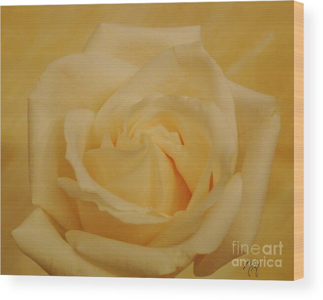 Photo Wood Print featuring the photograph Yellow Beauty Rose by Marsha Heiken