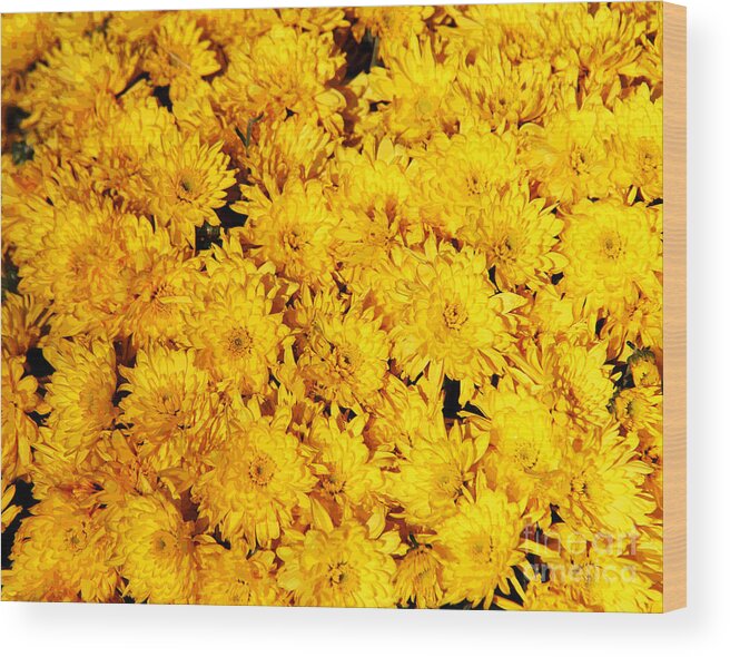 Yellow Wood Print featuring the photograph Yellow Waterford Mums by Larry Oskin