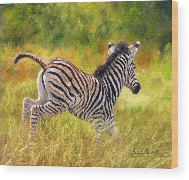 Zebra Wood Print featuring the painting Young Zebra by David Stribbling