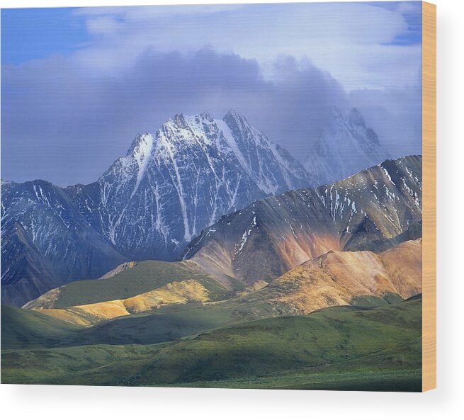 00175652 Wood Print featuring the photograph Alaska Range And Foothills Denali #1 by Tim Fitzharris