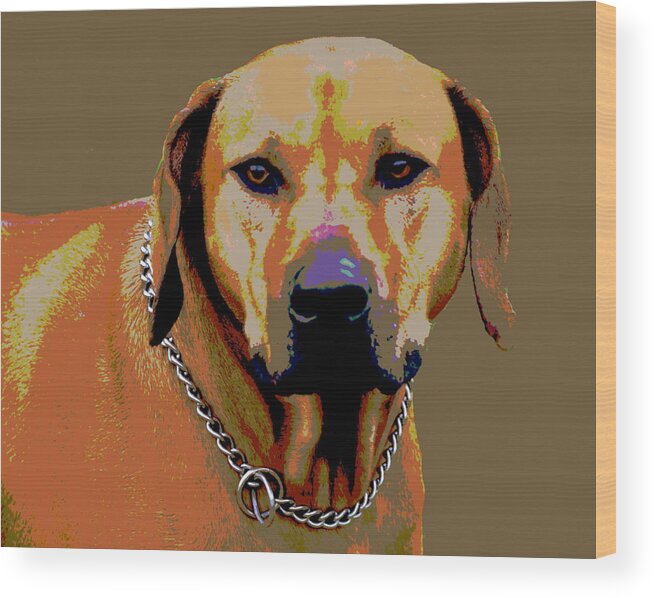 Dog Wood Print featuring the digital art Rhodesian Ridgeback #2 by Dorrie Pelzer