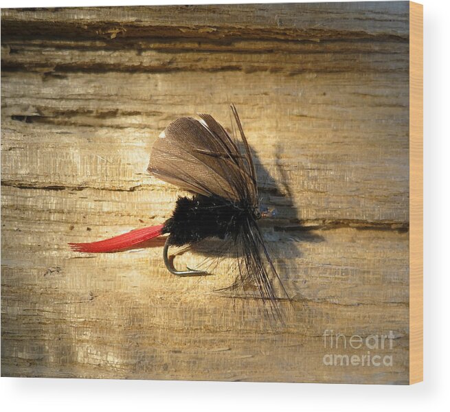 Fish Wood Print featuring the photograph Red Tail #3 by Patricia Januszkiewicz