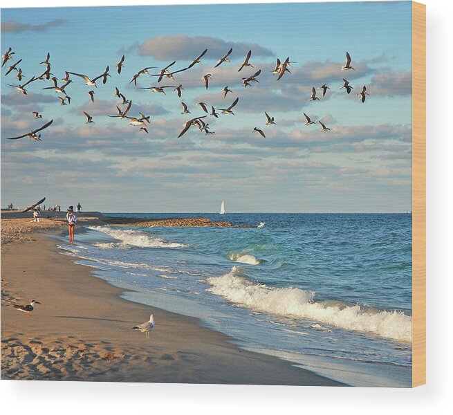  Wood Print featuring the photograph 5- Singer Island 8x 10 by Joseph Keane