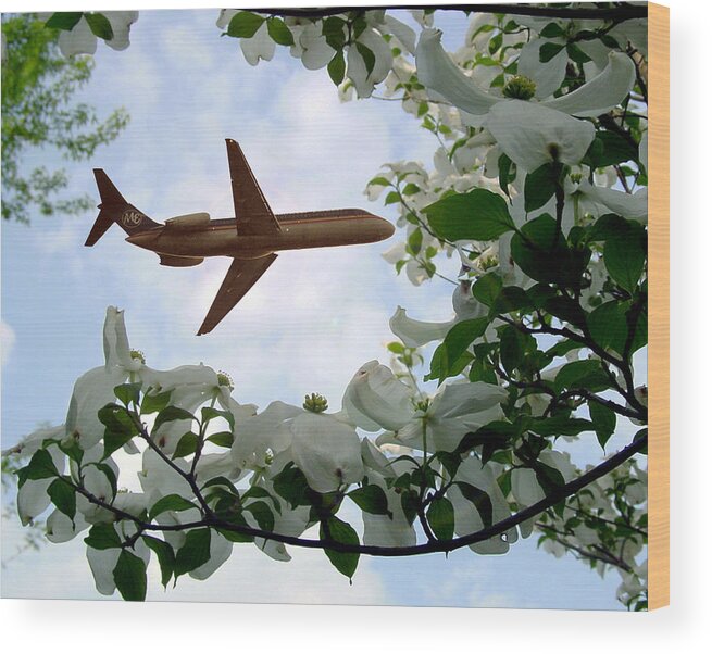 Airplane Wood Print featuring the photograph Airplane In the Dogwoods by Pat Exum