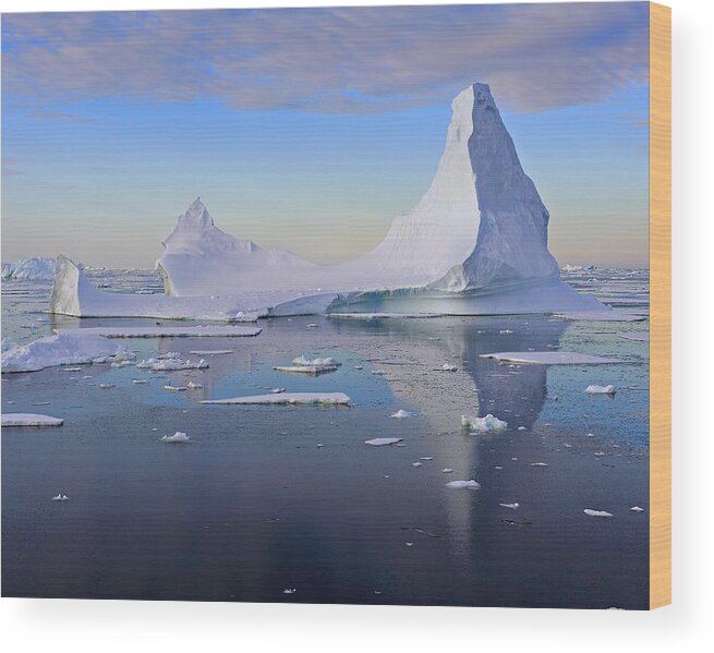 Iceberg Wood Print featuring the photograph Antarctic Evening by Tony Beck