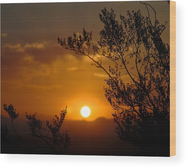 Arizona Wood Print featuring the photograph Arizona Sunrise by Mickey Clausen