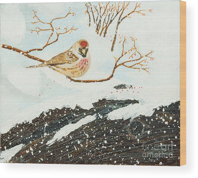 Redpoll Wood Print featuring the painting Artic Redpoll by L J Oakes