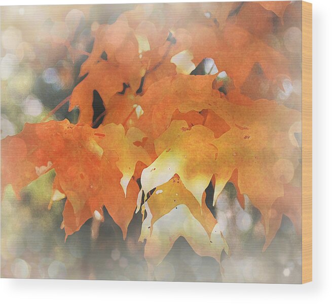 Autumn Wood Print featuring the photograph Autumn Glory by Terry Eve Tanner