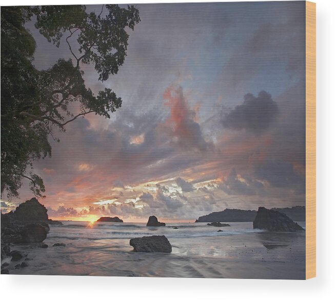 00176969 Wood Print featuring the photograph Beach And Coastline Manuel Antonio by Tim Fitzharris
