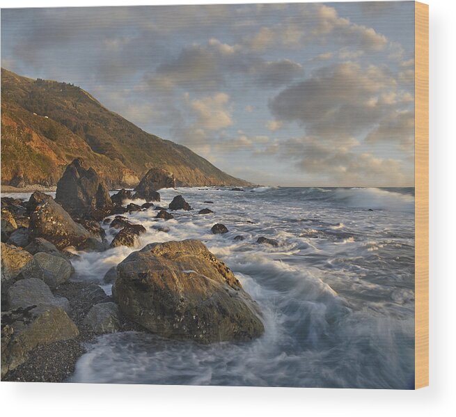00443042 Wood Print featuring the photograph Beach At Kirk Creek Beach Big Sur by Tim Fitzharris