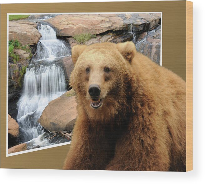 Bear Wood Print featuring the photograph Bear Out Of Frame by Keith Lovejoy