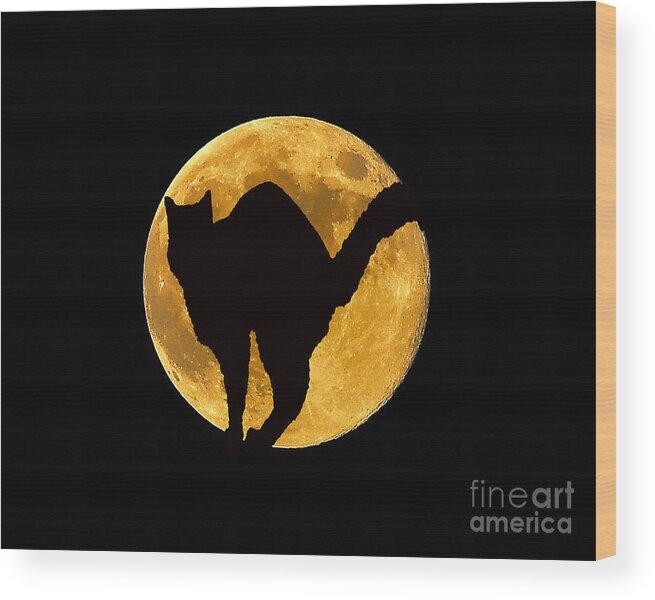 Moon Wood Print featuring the photograph Black Cat Moon by Al Powell Photography USA