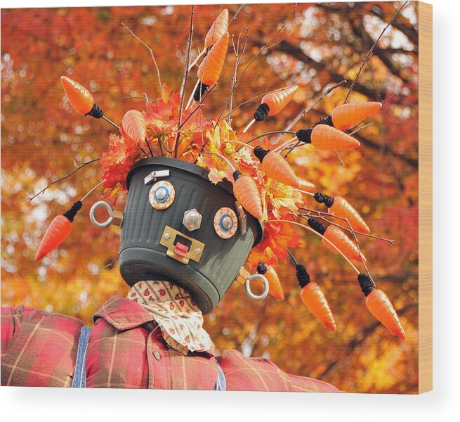 Bucket Wood Print featuring the photograph Bucket Head by Mike Martin