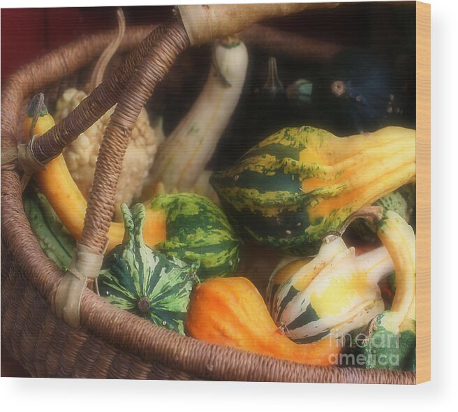 Gourds Wood Print featuring the photograph Colorful Fancy Gourds by Smilin Eyes Treasures