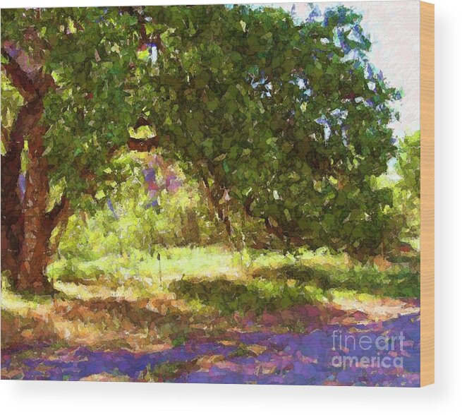 Cottonwood Tree Wood Print featuring the digital art Cottonwood Tree and shade by Annie Gibbons