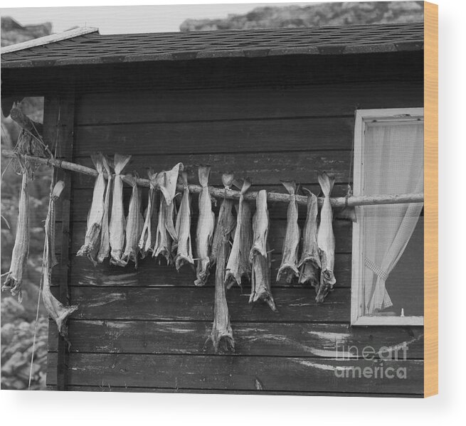 Fish Wood Print featuring the photograph Dried Cod on a Line by Heiko Koehrer-Wagner