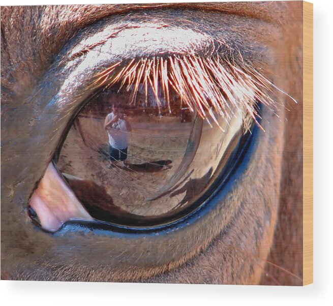Horse Wood Print featuring the photograph Eye Of The Beholder by Rory Siegel
