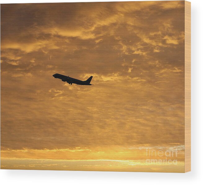 Morning Wood Print featuring the photograph Fiery Skies by Alex Esguerra