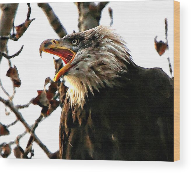 Bald Eagle Wood Print featuring the digital art Freedom is Not Free by Carrie OBrien Sibley