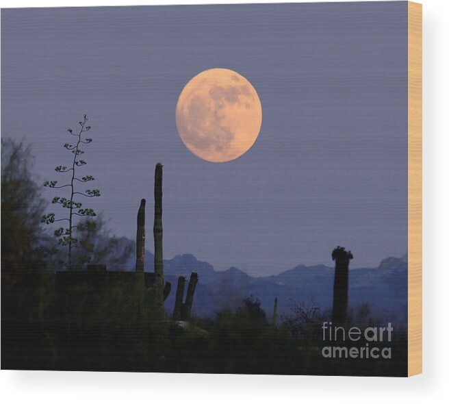 Full Moon Wood Print featuring the photograph Full Moon Rise Gold Canyon AZ by Joanne West