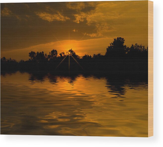 Golden Wood Print featuring the photograph Golden Sunrise by Cindy Haggerty