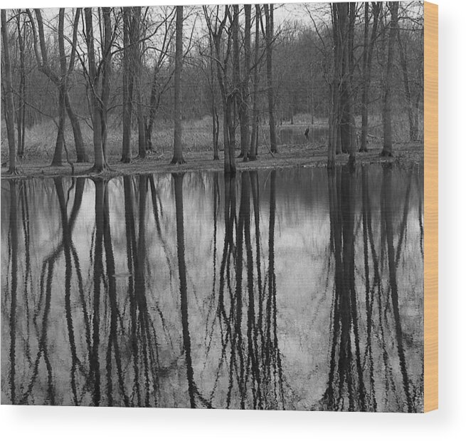 Trees Wood Print featuring the photograph Gray Day Reflections by Michael Peychich