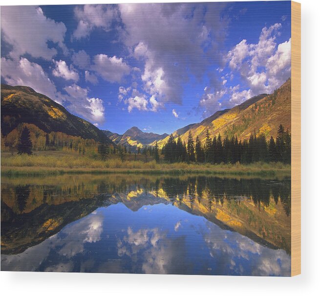 00175814 Wood Print featuring the photograph Haystack Mountain Reflected In Beaver by Tim Fitzharris