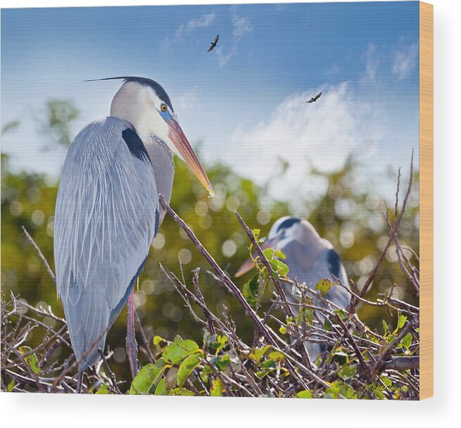 Herons Wood Print featuring the photograph Herons at Rest by Michelle Constantine