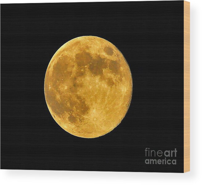 Full Moon Wood Print featuring the photograph Honey Moon Close Up by Al Powell Photography USA