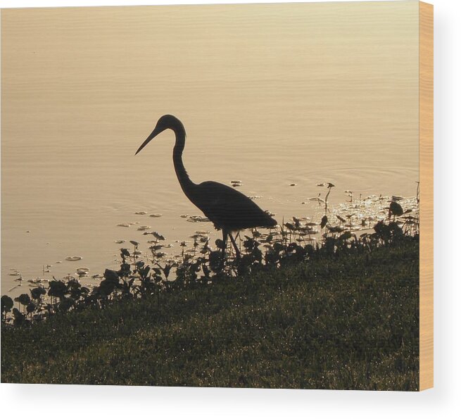 Crane Wood Print featuring the photograph Hunting At Sunset by Kim Galluzzo Wozniak