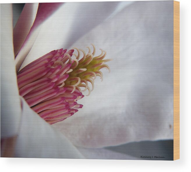 Bloom Wood Print featuring the photograph In the Middle by Kimmary MacLean