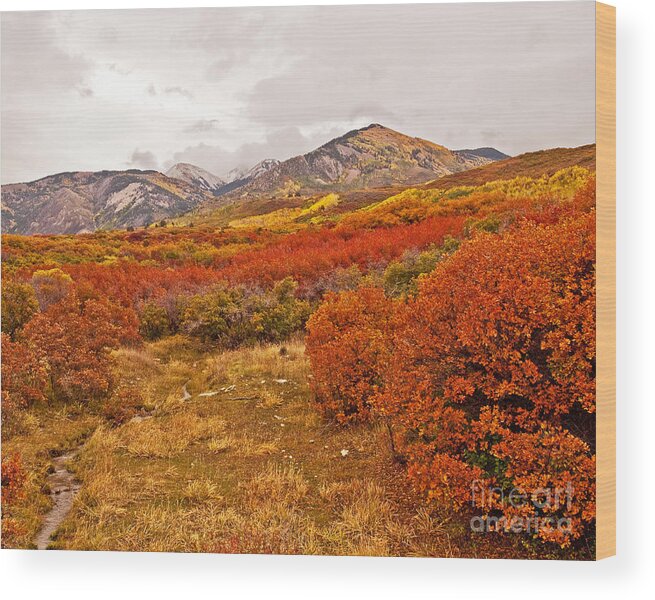 Photograph Wood Print featuring the photograph La Sal Autumn by Bob and Nancy Kendrick