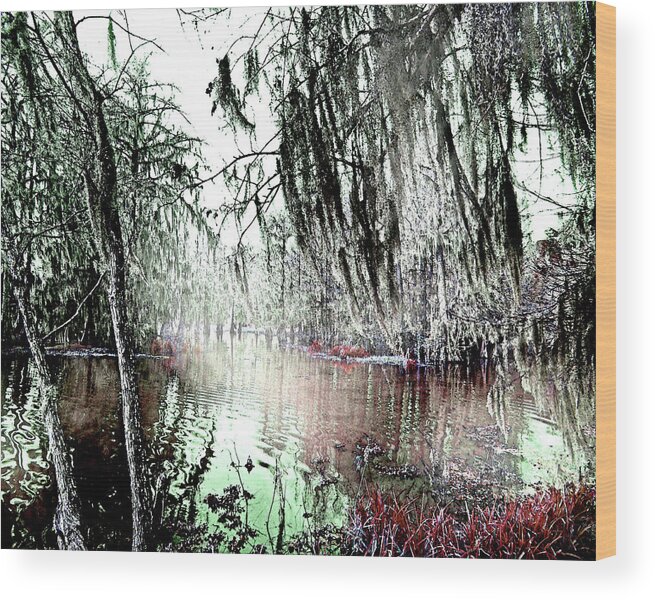 Swamp Wood Print featuring the photograph Lake Martin Swamp by Lizi Beard-Ward