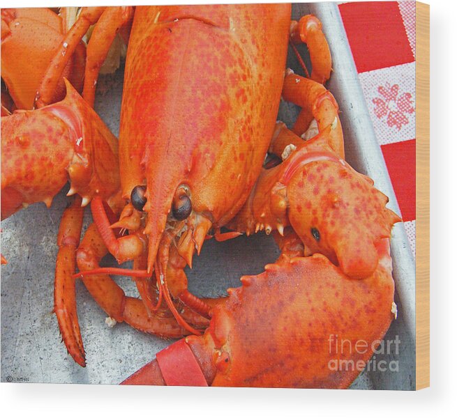 Lobster Wood Print featuring the photograph Lobster by Lizi Beard-Ward