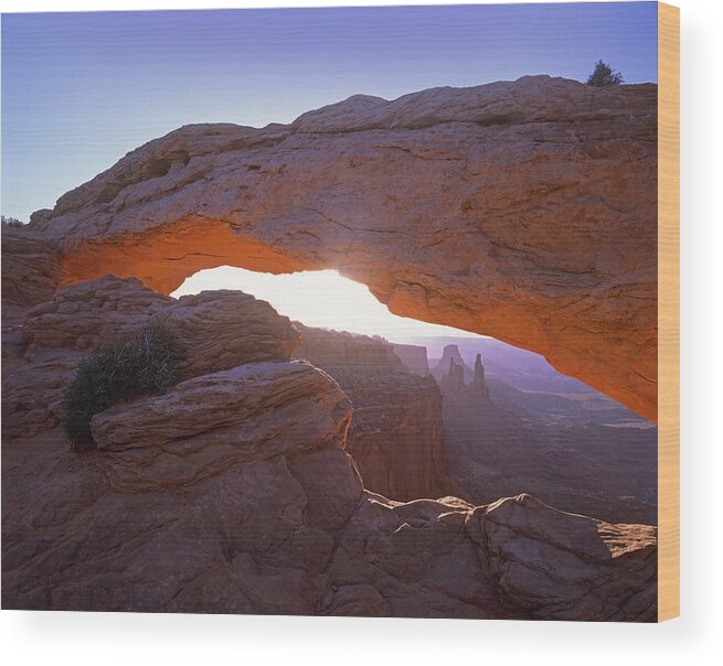 00175853 Wood Print featuring the photograph Mesa Arch At Sunset From Mesa Arch by Tim Fitzharris