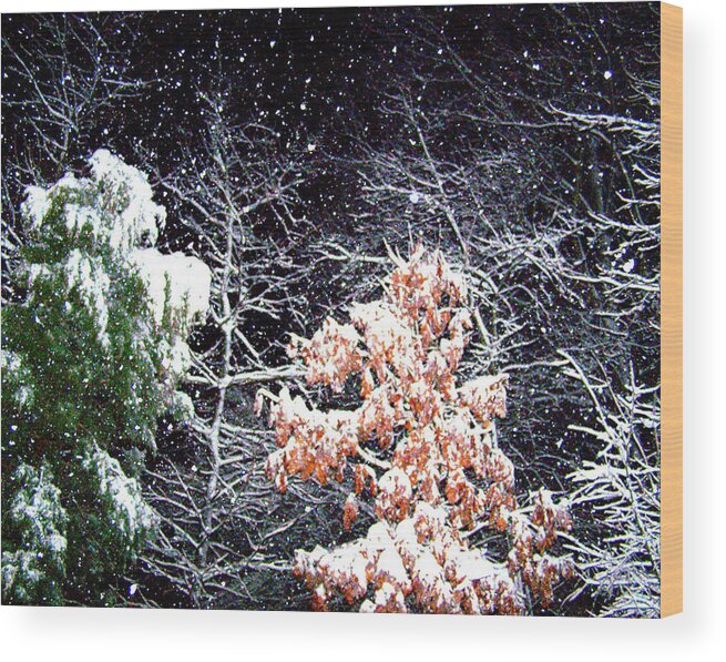 Snow Wood Print featuring the photograph Night Snow 2 by Sandi OReilly