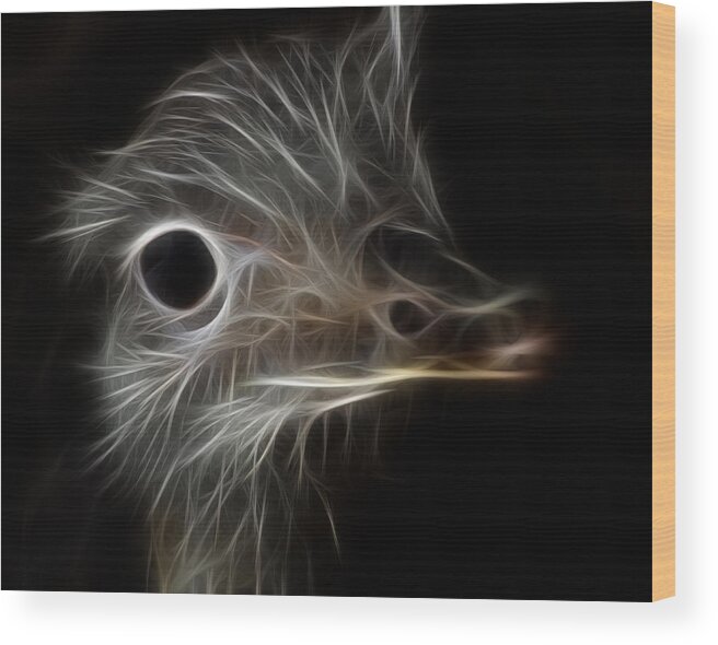 Ostrich Fractalius Wood Print featuring the photograph Ostrich Fractalius by Maggy Marsh