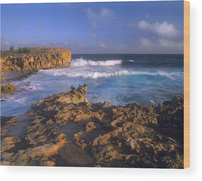 00176707 Wood Print featuring the photograph Pacific Ocean Waves And Cliffs by Tim Fitzharris
