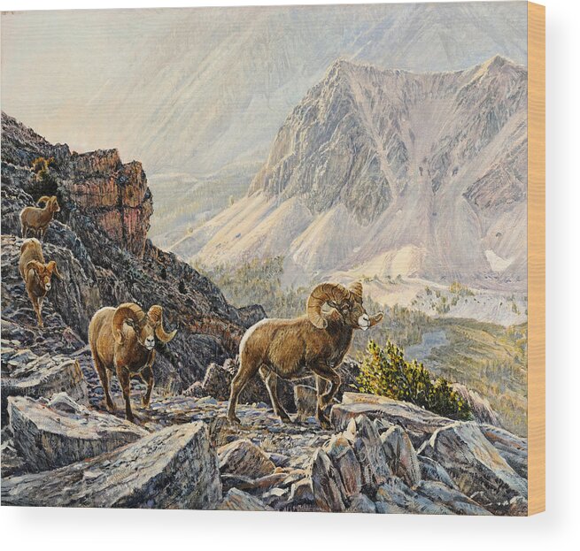 Mountain Sheep Wood Print featuring the painting Pahsimeroi Dawn by Steve Spencer